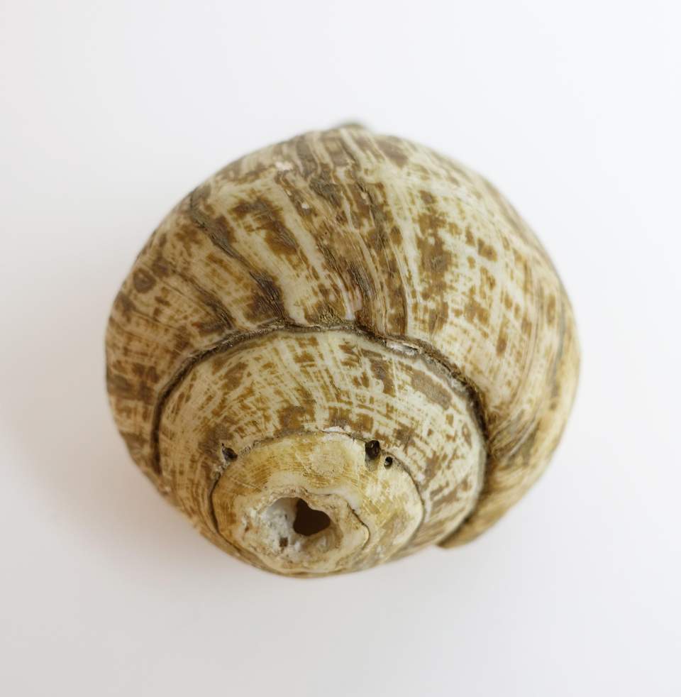 Werbeeinfach