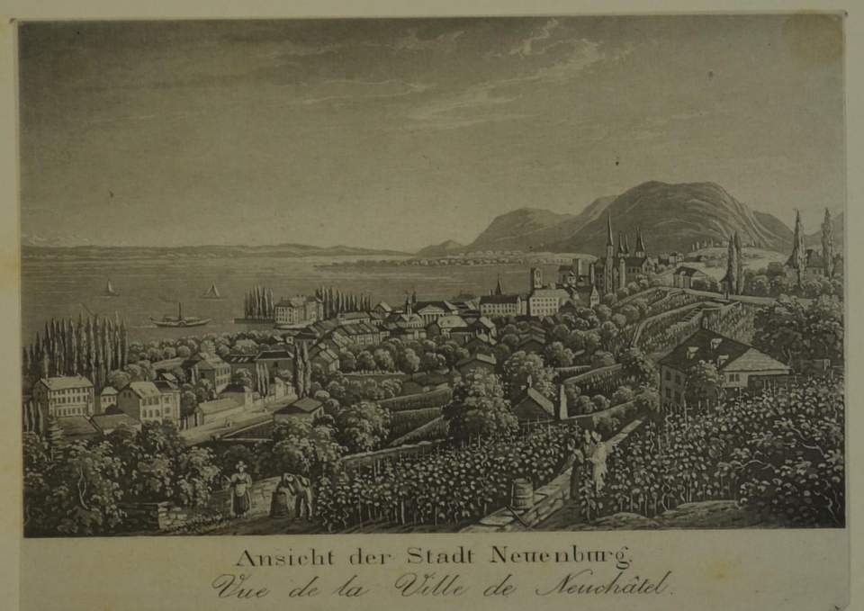 Stich Ansicht der Stadt Neuenburg
