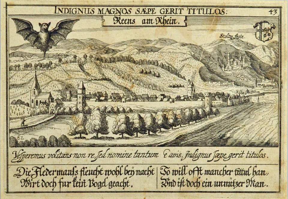 Ansicht Reens am Rhein