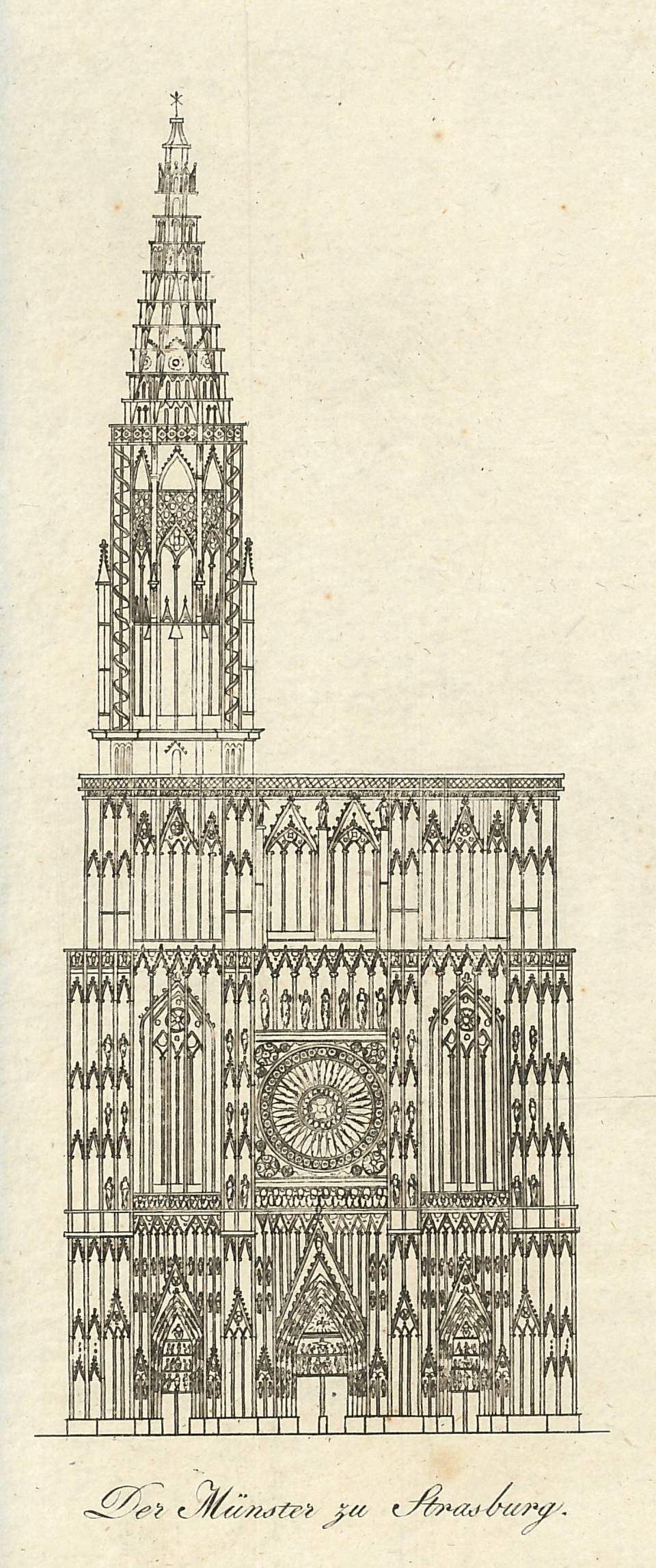 Ansicht Strassburger Münster