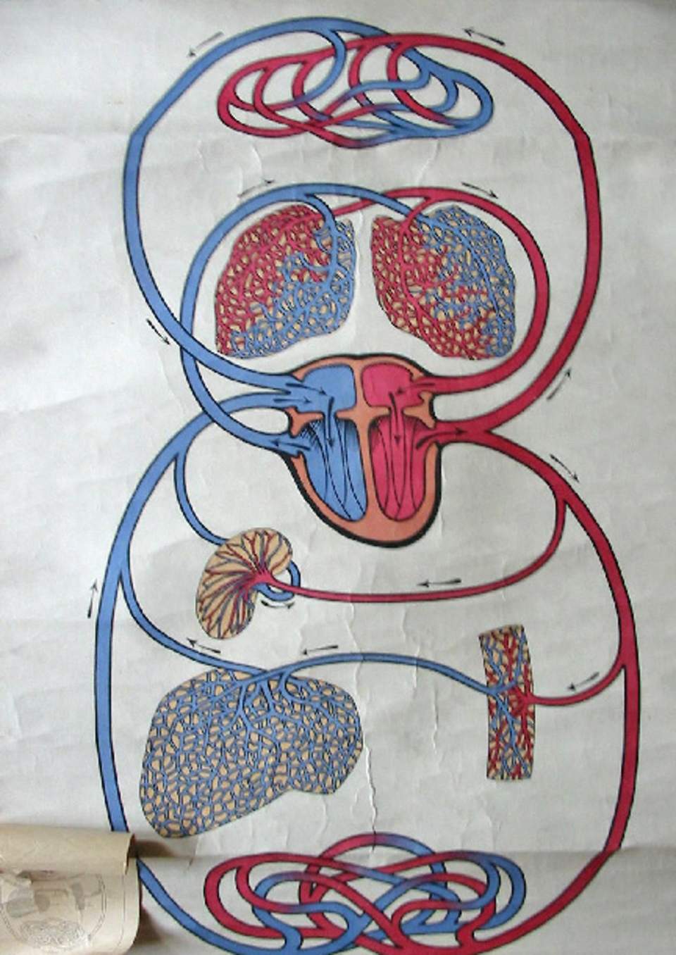 Schulwandbild