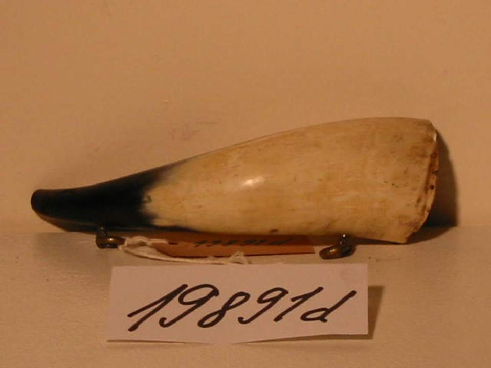 Pulverflasche oder Pulverhorn