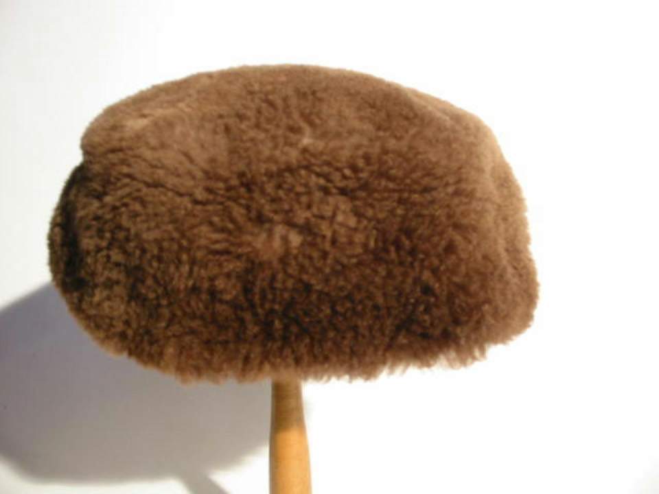 Damenhut, Hut
