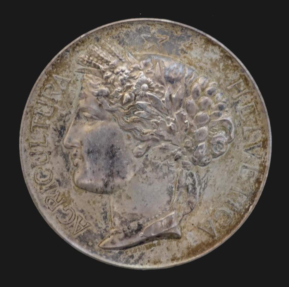 Medaille Schweiz. Landwirtschalftl. Ausstellung Neuchâtel 1887