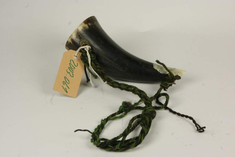 Signalhorn