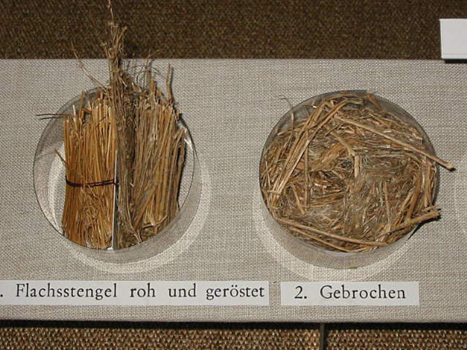 Vom Flachsstengel zum Flachsgarn, Flachs
