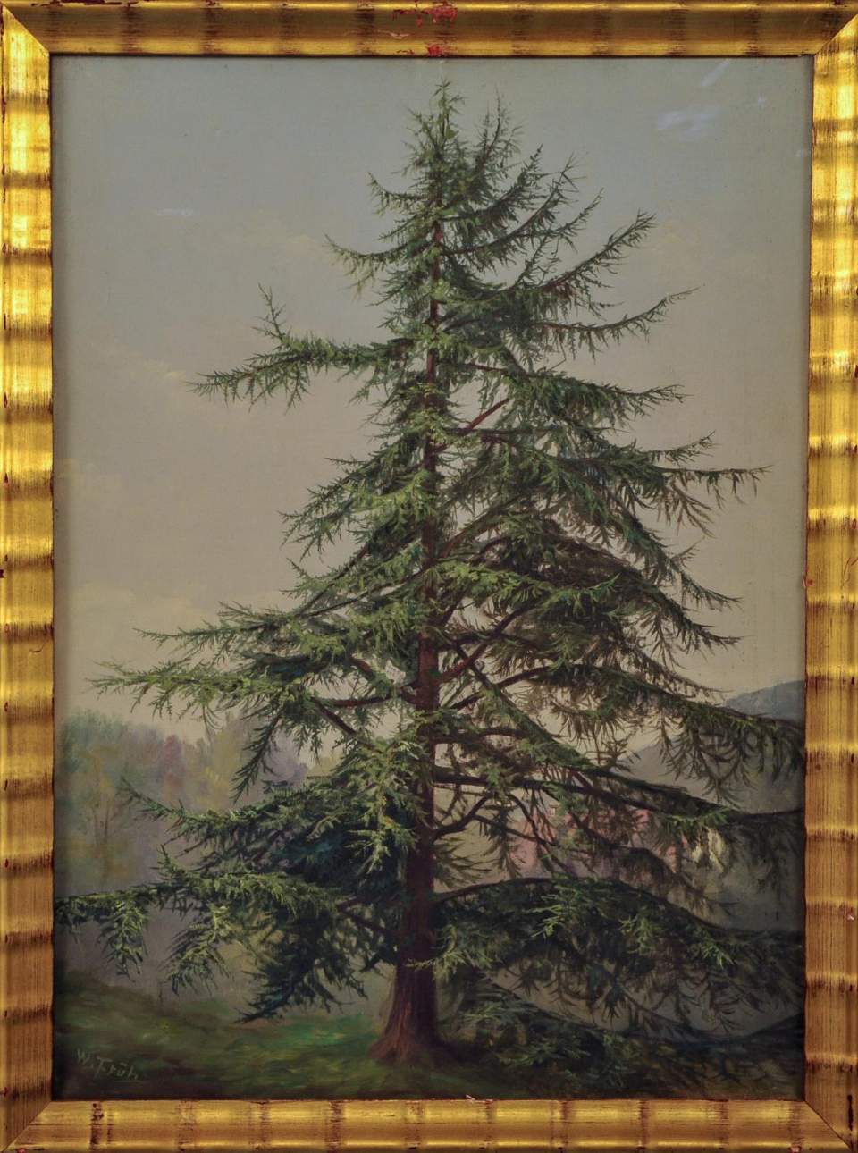 Tannenbaum