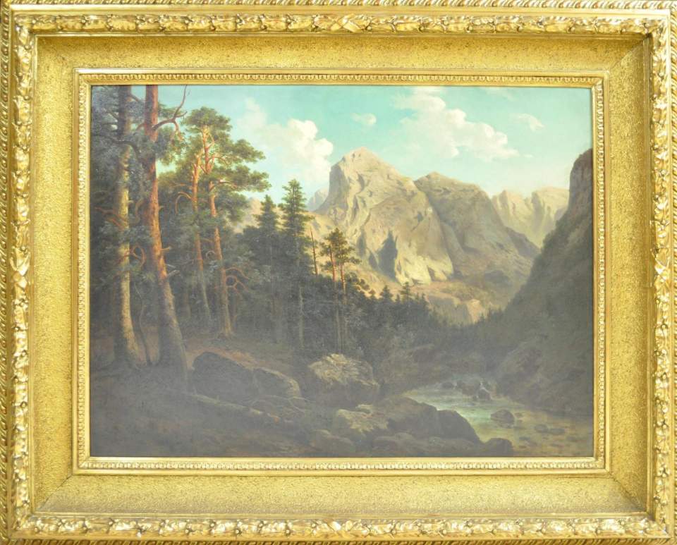 Wald- und Berglandschaft