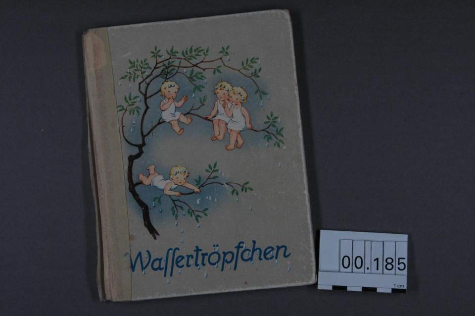 Bilderbuch, Kinderbuch