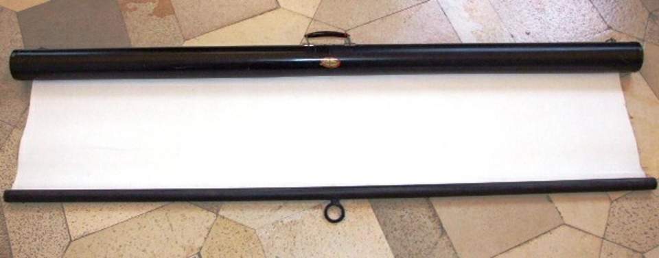 Dia Leinwand