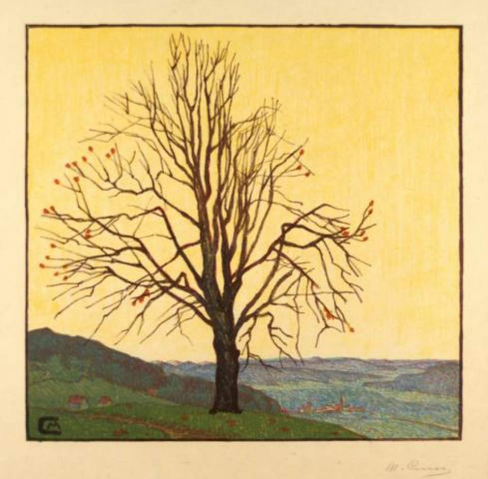 Lithographie "Linde auf der Berneck"