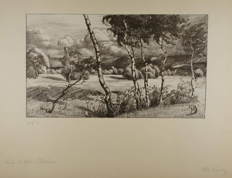 Lithographie "Birken in Altenrhein" / Orig. Litho Birken Nr. 1