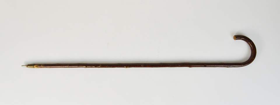 Spazierstock