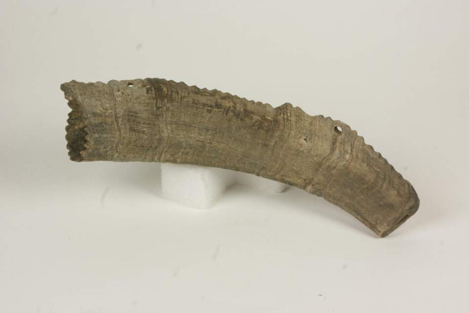 Horn