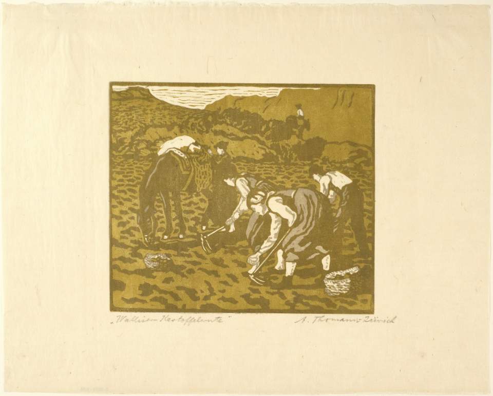 Farbholzschnitt "Walliser Kartoffelernte" Adolf Thomann