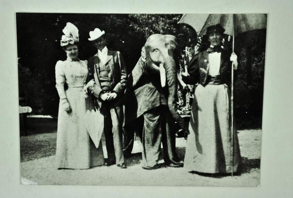 Gartenfest im Park der Villa Seefeld in Rorschach; König von Württemberg