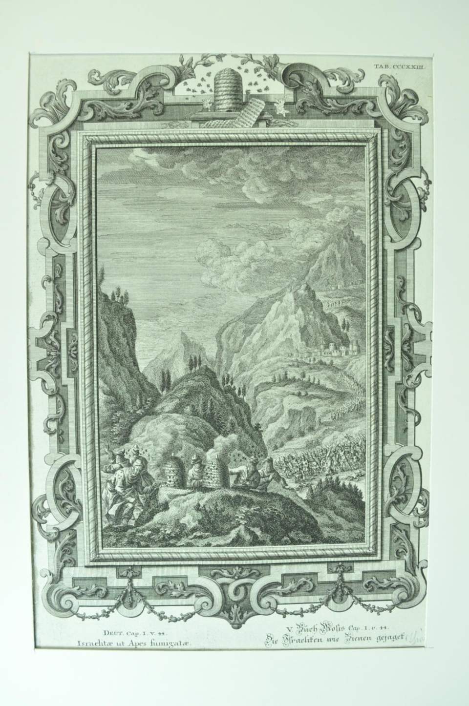 Biblische Geschichte, Grafiken