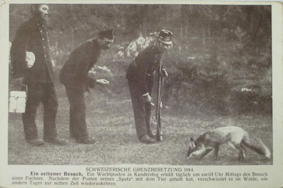 Postkarte, Ansichtskarte, Schweizerische Grenzbesetzung 1914, Ein seltener Besuch