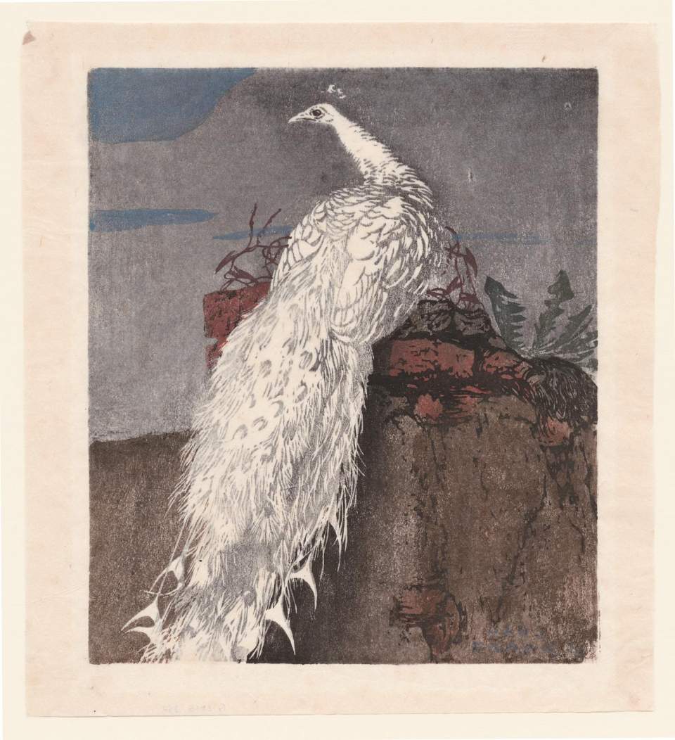 Farbholzschnitt "Weisser Pfau" Hans Frank