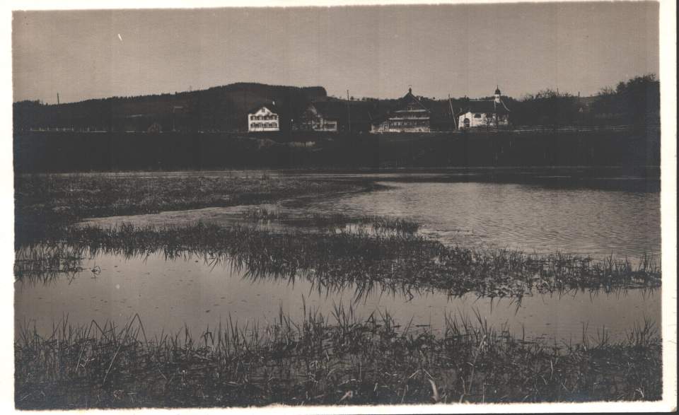 Postkarte Bildweiher