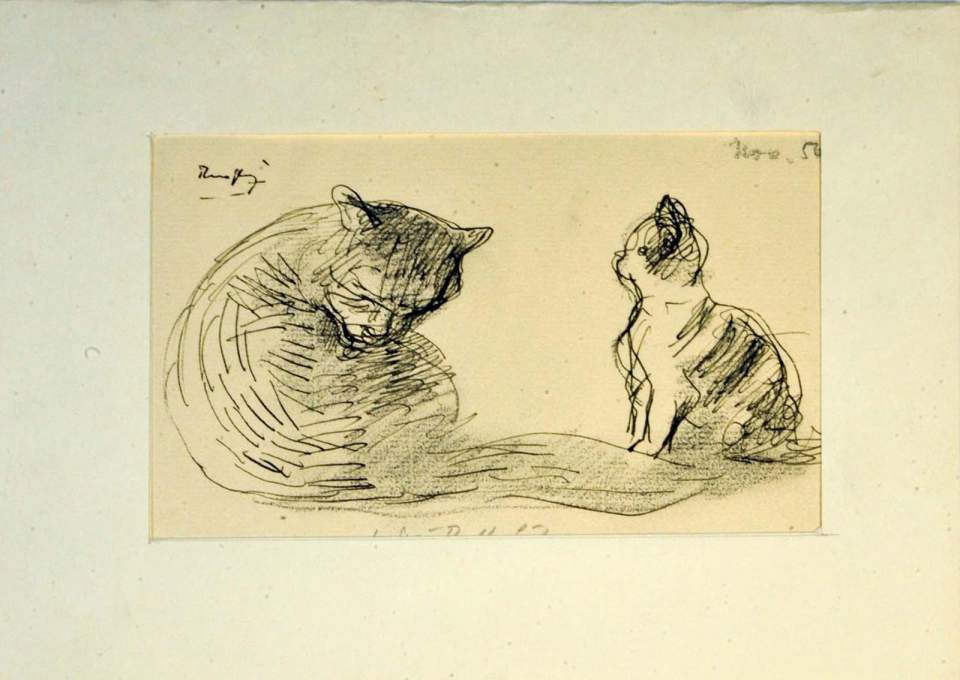 Zeichnung, Skizze, Katzen
