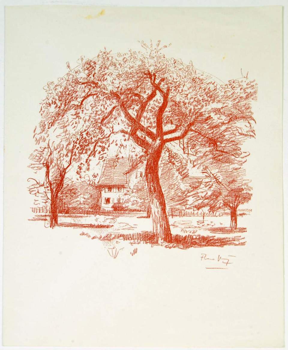 Grafik, Zeichnung, Baum