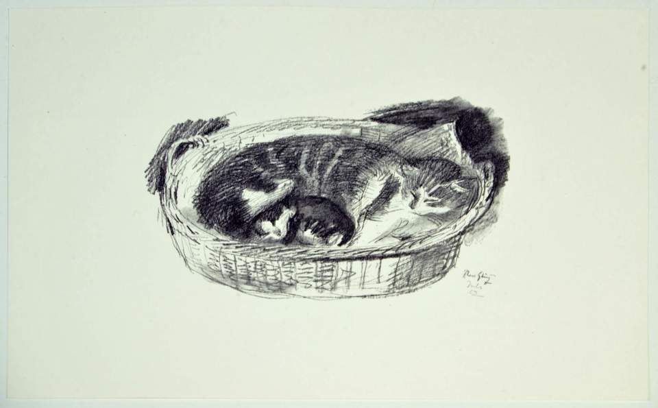 Grafik, Zeichnung, Katze