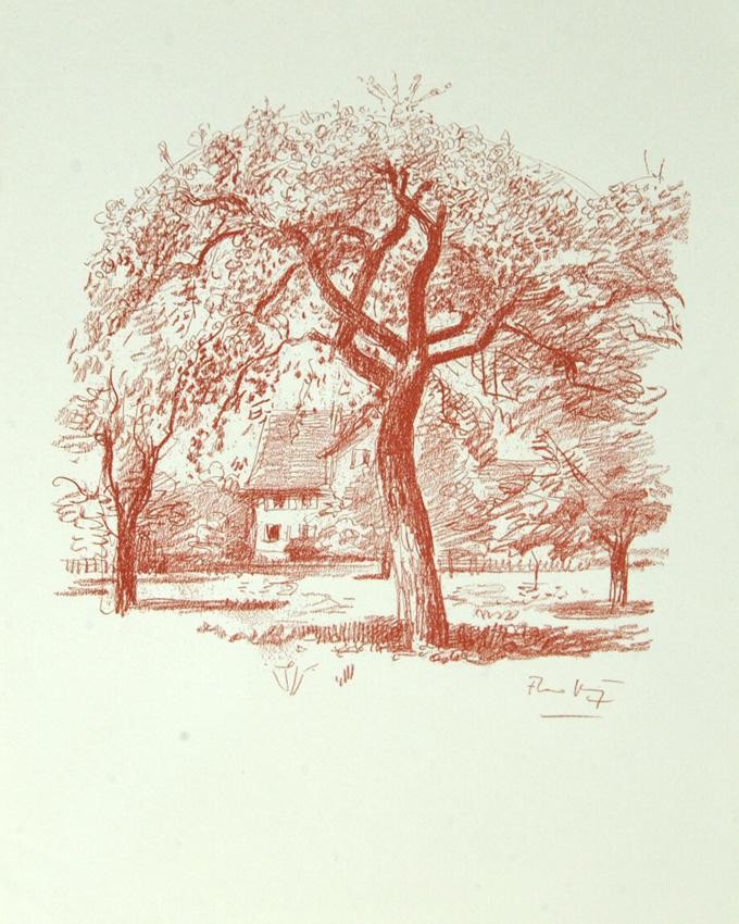 Grafik