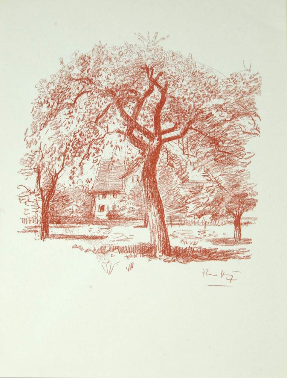 Grafik