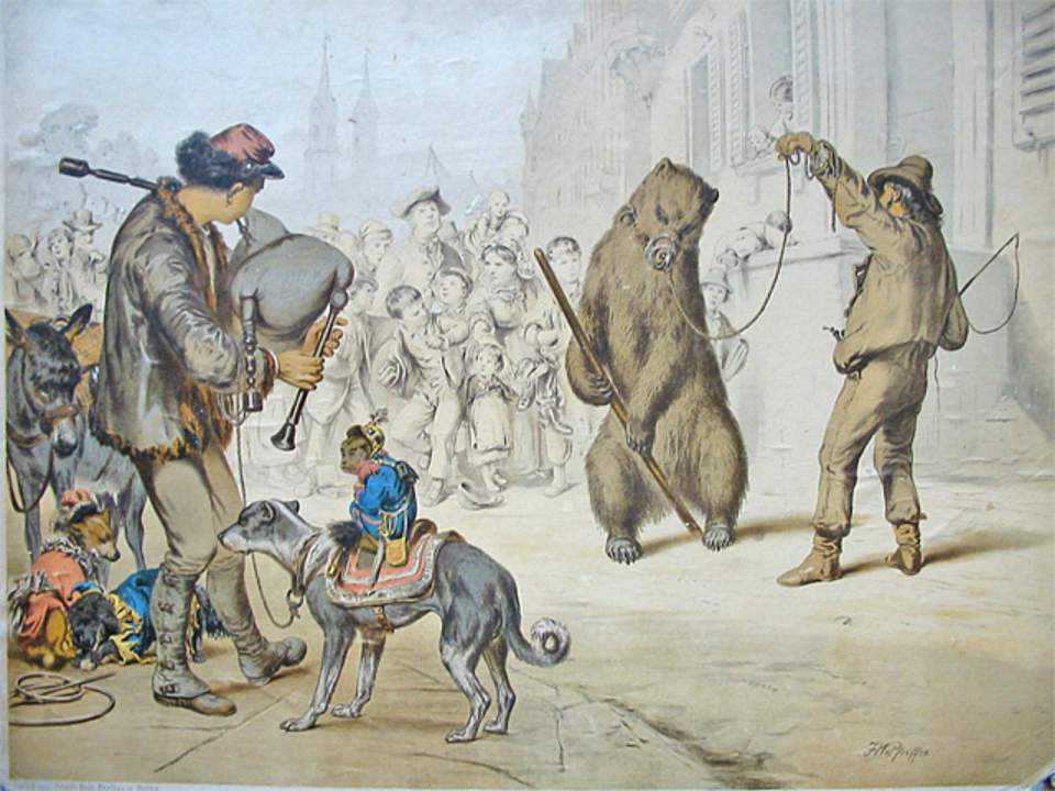 Schulwandbild