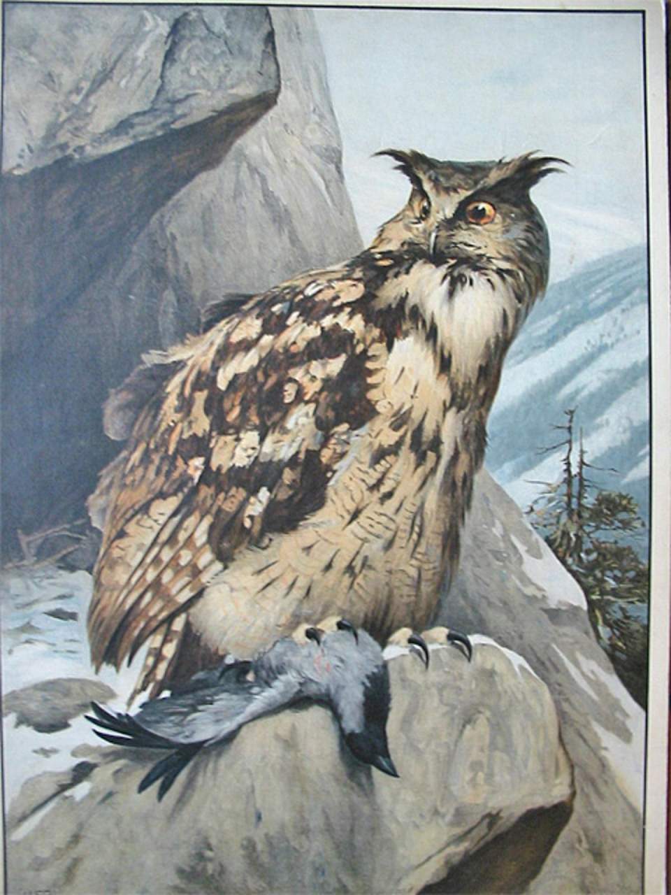 Schulwandbild