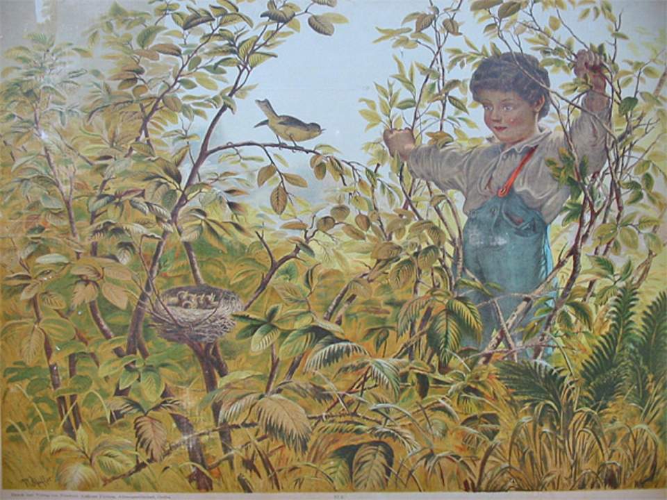 Schulwandbild