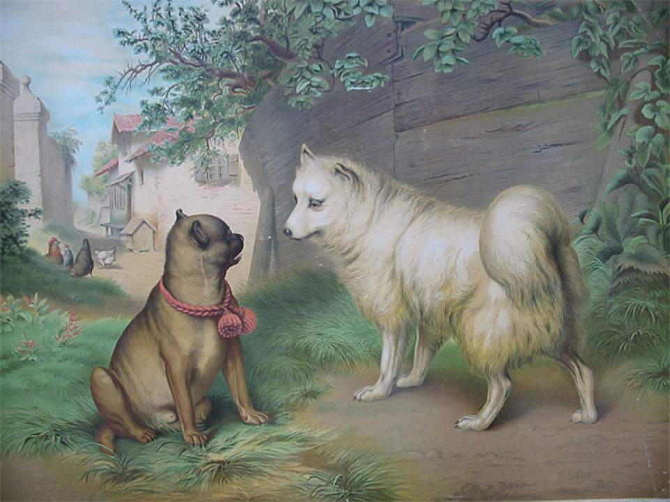 Schulwandbild