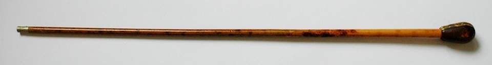 Spazierstock