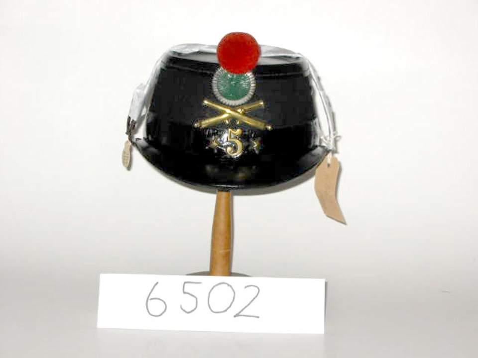 Käppi, eidg. Ord. 1875, Artillerie, Mannschaft Landwehr
