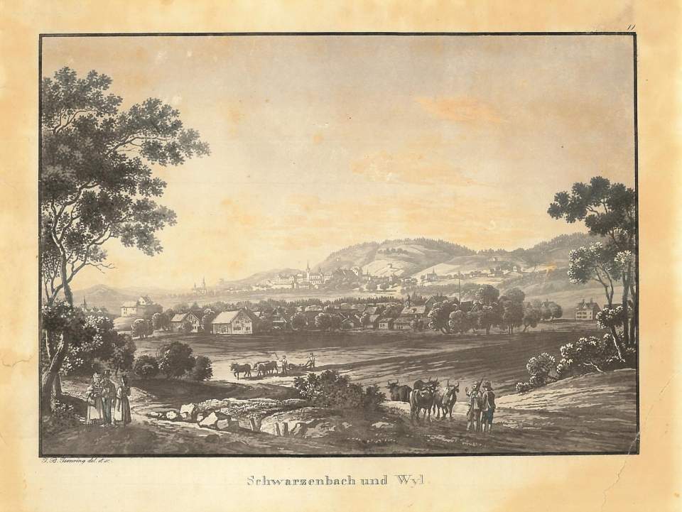 Ansicht Schwarzenbach und Wil