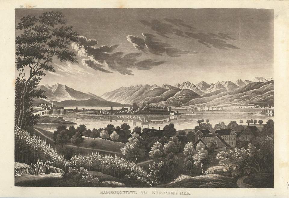 Ansicht Rapperswil von Westen