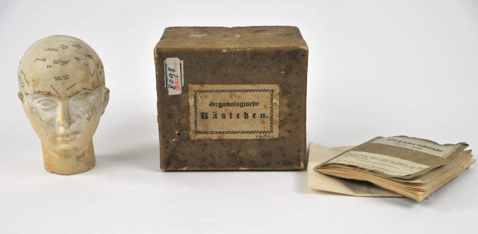 Schatulle mit Schädel-Modell und Begleitheft, Kästchen, Kasten, Box