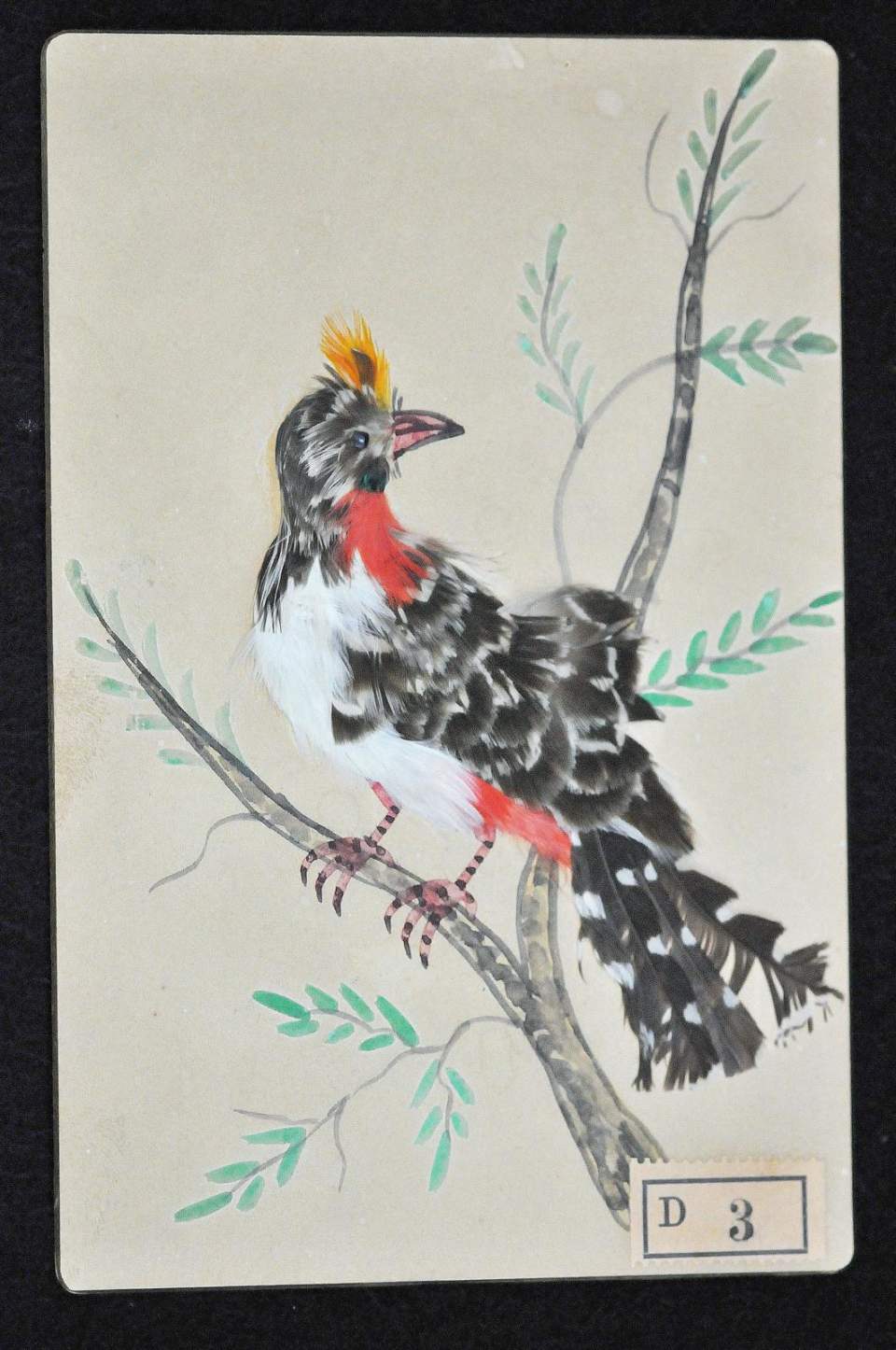 Vogel-Bild, Federbild