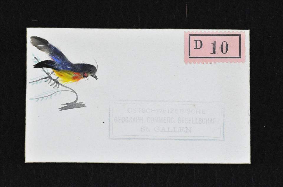 Vogel-Bild, Federbild