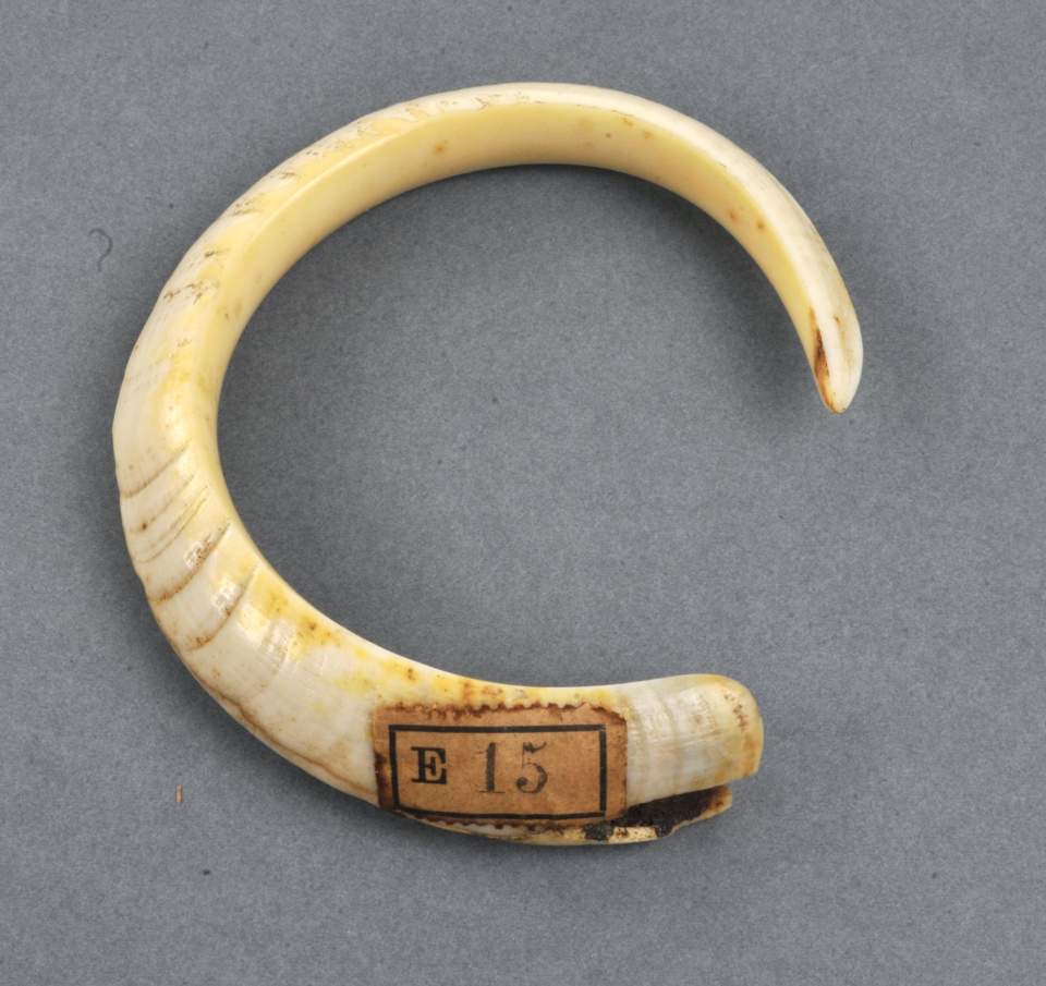 Armring