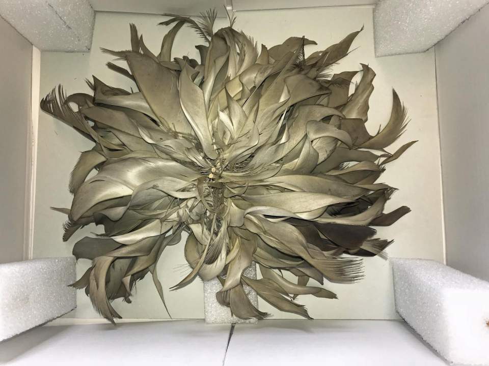 Federschmuck