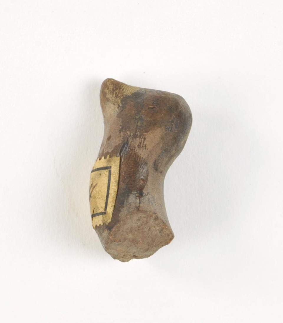 Vogelkopf Fragment