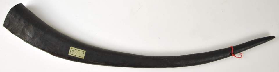 Horn; Musikinstrument