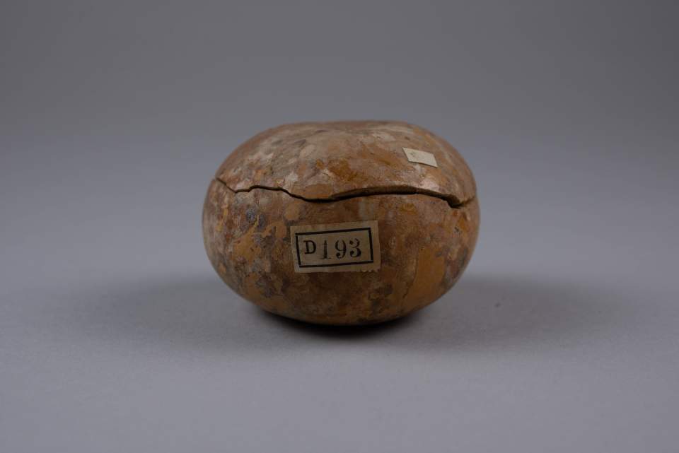 Gefäss-Kürbis mit Deckel "Aji" mit spanischem Pfeffer