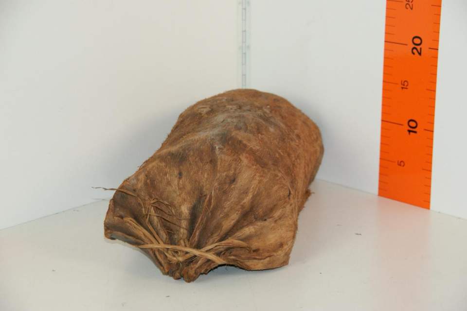 Schüssel