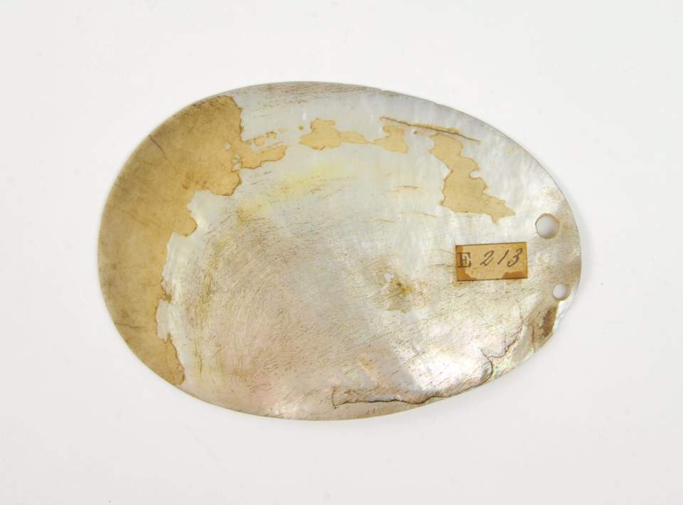 Schamdeckel "Kohn"