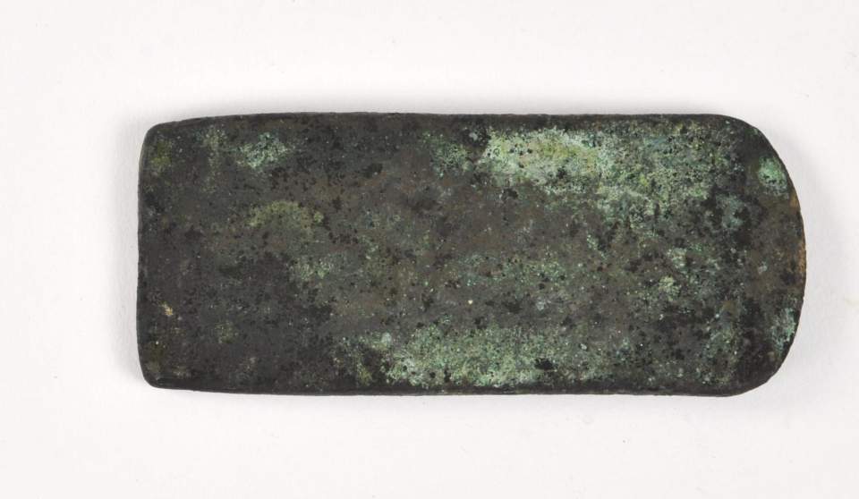 Metallplatte (Champi = Metalllegierung)