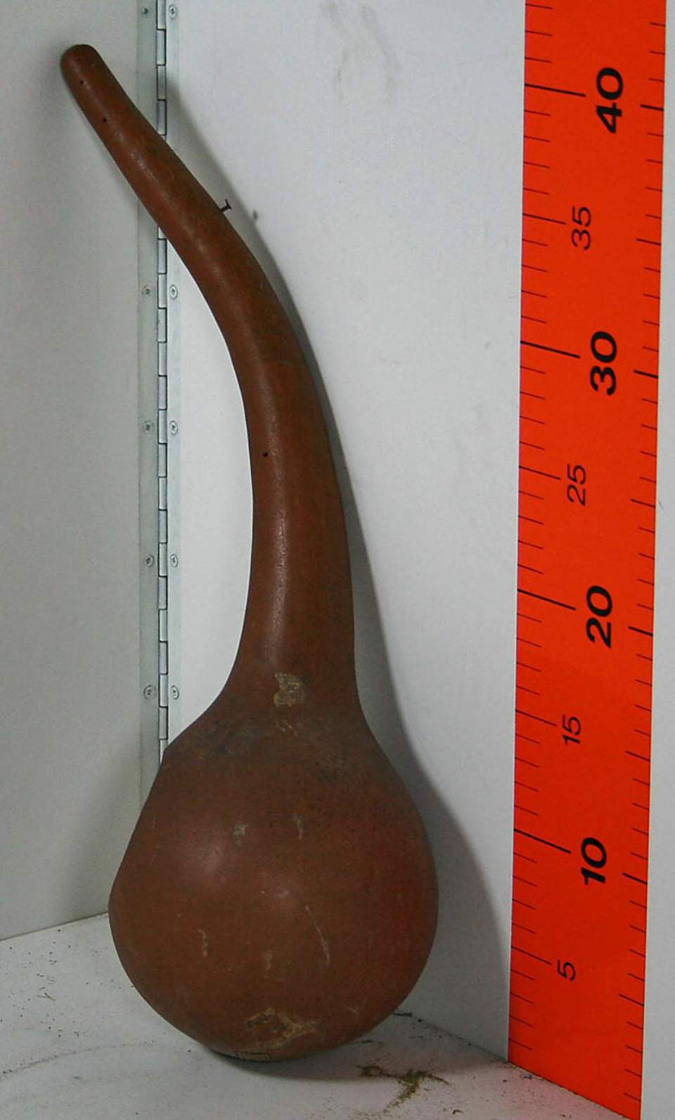 Kürbis (-Flasche?)