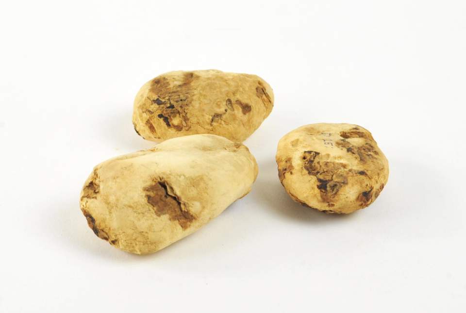 3 gefrorene Kartoffeln